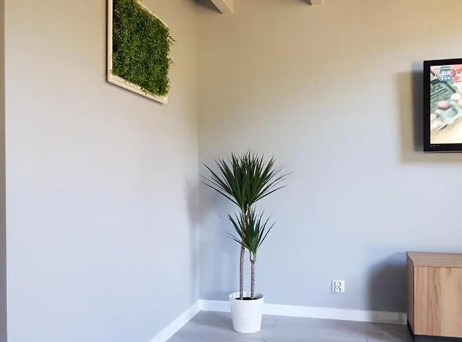 Kameralny * Przeciszow