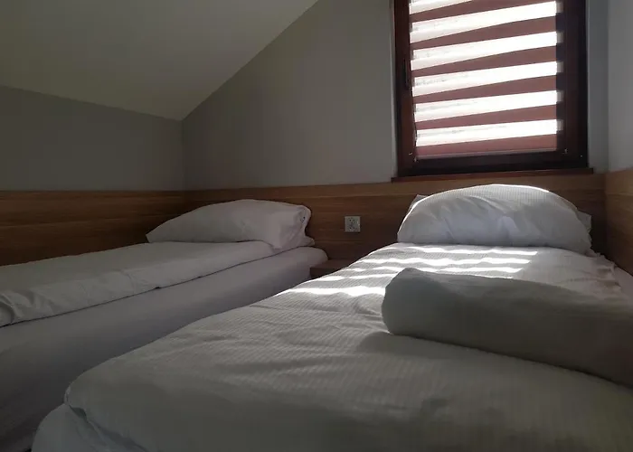 Kameralny * Przeciszow